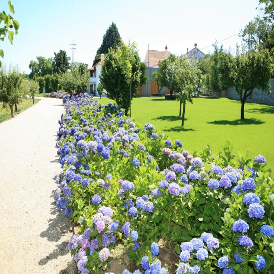Paisagismo