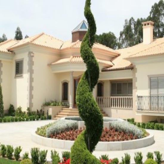 Poda de Plantas