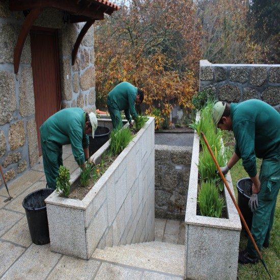 Manutenção de Jardins
